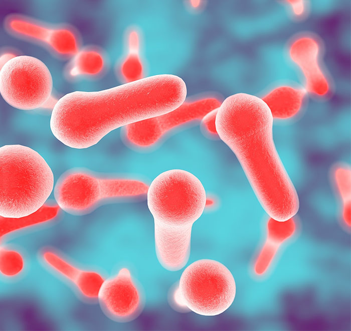 Vi khuẩn Clostridium tetani