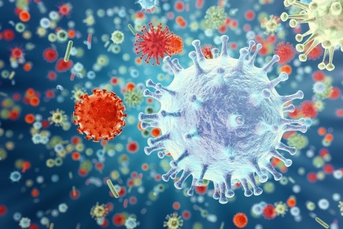 anh-virus-cum-dang-h1n1_largeThumb.jpg