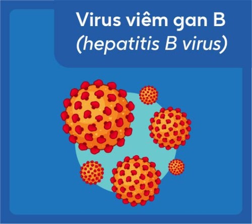 virus-viem-gan-b-hepatitis-b-virus_largeThumb.jpg