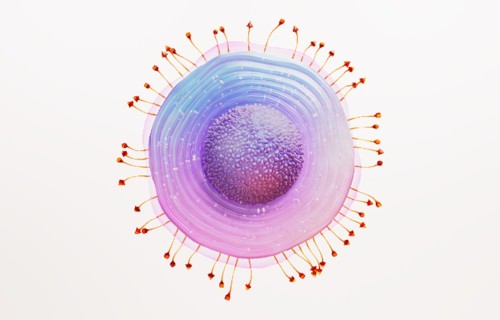 virus-zona-varicella-zoster_largeThumb.jpg